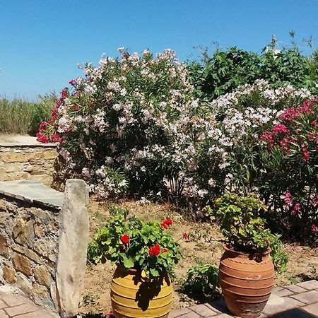 Villa Danai Agia Anna  Eksteriør billede