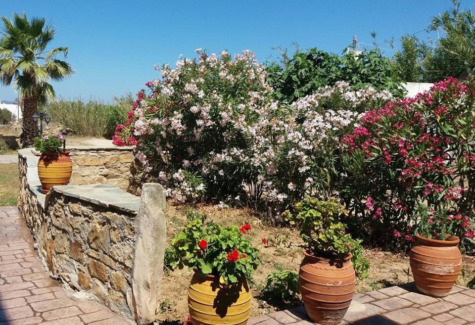 Villa Danai Agia Anna  Eksteriør billede